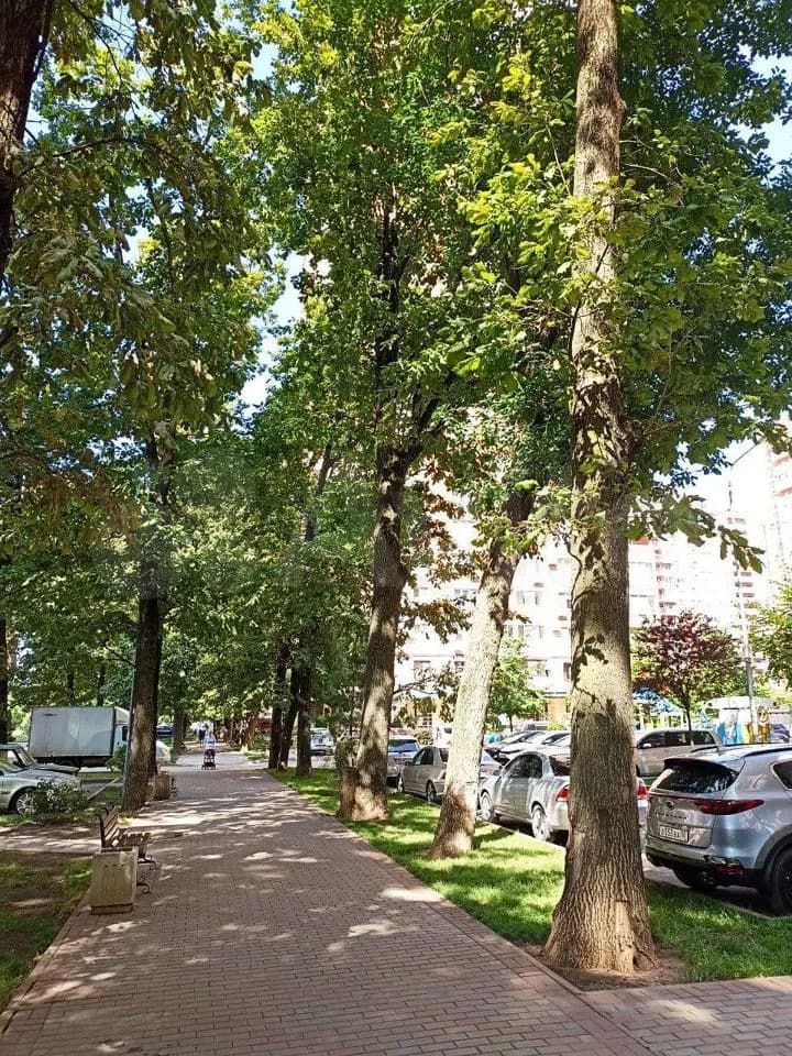 Продается 2-комн. квартира, 55 м² — фото 3