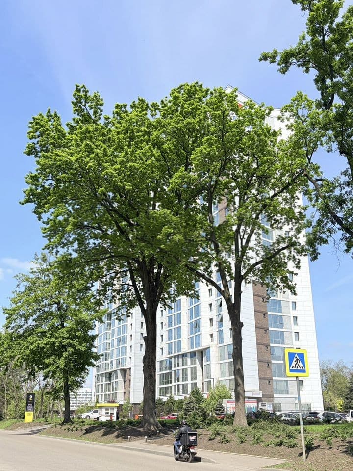 Продается 1-комн. квартира, 38 м²